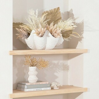 Pillow Talk Giant Clam Shell by M.U.S.E. offer