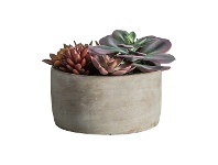 LivingStyles Potted Artificial Mixed Succulent Garden offer