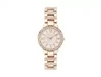 Bevilles Jewellery Pierre Cardin Rose Ladies Watch 5694 offer