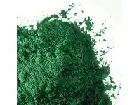 The Party People Shop Food Colour - Powder 10 g Christmas Green offer