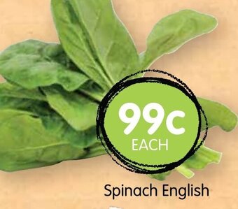 Spudshed Spinach English offer