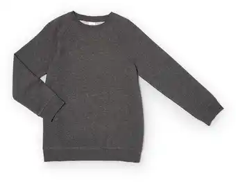 Plain Crew Neck Sweatshirt