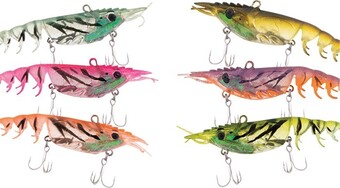 BCF Berkley Shimma Shrimp offer