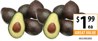 Supabarn Hass Avocados offer