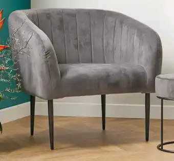Coles Marketlane Homewares Velvet Occasional Chair offer