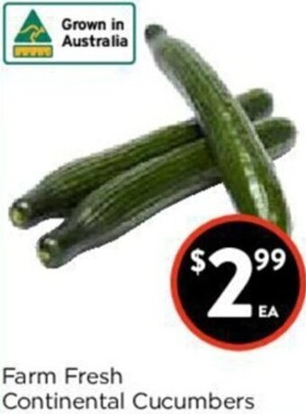 Foodworks Farm Fresh Continental Cucumbers offer