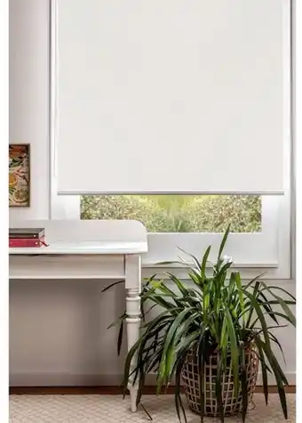 Spotlight 50% off Rylee Sunout Single Roller Blinds offer