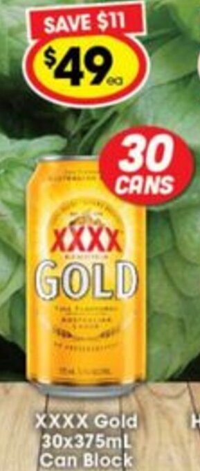 Ritchies XXXX Gold 30x375ml Can Block offer