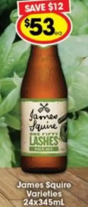 Ritchies James Squire Varieties 24x345 ml offer