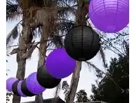 The Party People Shop Festoon Lantern String - Black & Purple offer