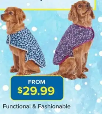 Functional & Fashionable Kazoo Dog Winter Warmers Range