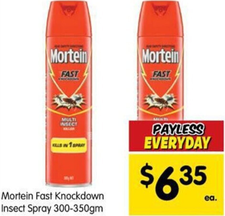 Mortein Fast Knockdown Insect Spray 300350g offer at Spar