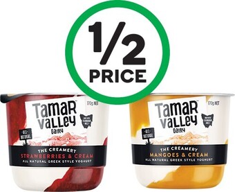 Woolworths Tamar Valley Creamery Yoghurt Pot 170g – From the Fridge offer