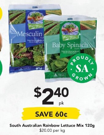 Drakes South Australian Rainbow Lettuce Mix 120g offer