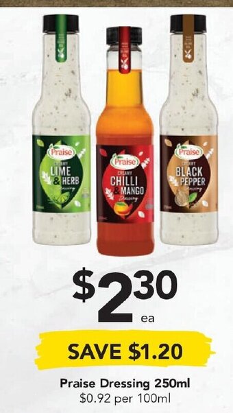 Drakes Praise Dressing 250ml offer