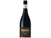 Woolworths William Light Clare Valley Shiraz 750ml offer