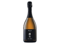 Woolworths Bird in Hand Sparkling Pinot Noir 750ml offer
