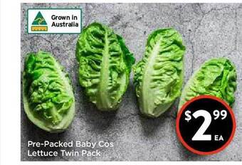 Foodworks Pre-packed Baby Cos Lettuce Twin Pack offer