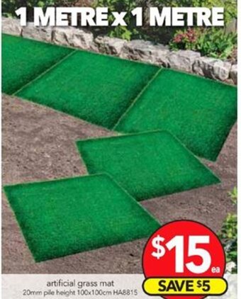 Cheap as Chips Artificial Grass Mat HA8815 offer