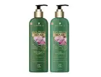 Coles Schwarzkopf Bio-Tech Shampoo or Conditioner 500ml offer