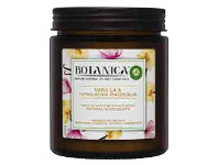 Coles Botanica by Airwick Candle 1 Each offer