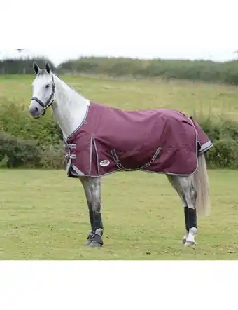 WeatherBeeta ComFiTec Plus Dynamic II Standard Neck Medium - Burgundy