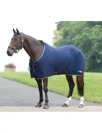 Saxon Element Polar Fleece Standard Neck