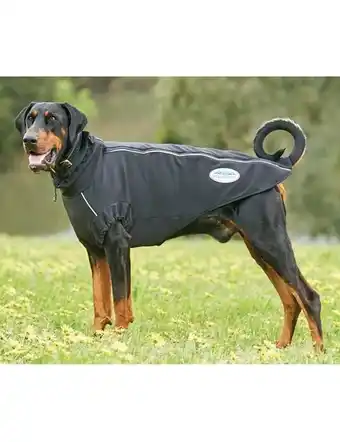WeatherBeeta ComFiTec Active Dog Coat