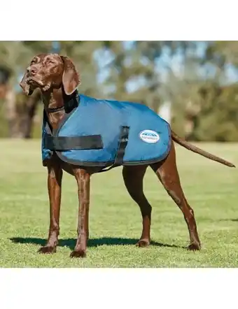 Horseland WeatherBeeta ComFiTec Classic Dog Coat - Blue offer