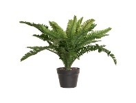LivingStyles Potted Artificial Boston Fern, 60cm offer