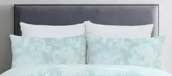 Spotlight 50% off Koo Elite Anwen European Pillowcase offer