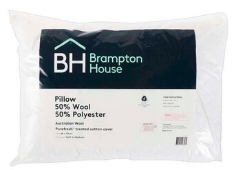 Spotlight 50% off Brampton House 50% Wool 50% Polyester Standard Pillow offer