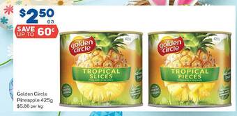 Foodland Golden Circle Pineapple 425g offer