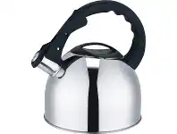 BCF Wanderer 2.5L Whistling Kettle Easy To Clean Stainless Steel Silver offer