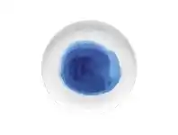 Ecology Watercolour Bone China Side Plate, Ocean