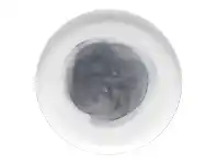 LivingStyles Ecology Watercolour Bone China Dinner Plate, Smoke offer