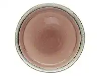 LivingStyles Ecology Quartz Porcelain Dinner Plate offer
