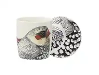 LivingStyles Ecology Paradiso New Bone China Mug & Coaster Set, Firetale offer
