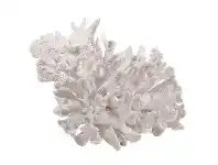 LivingStyles Estee Large Classic Coral Decor - White offer