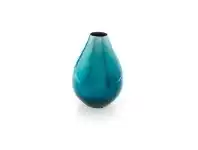 LivingStyles Aqua Fading Tulip Vase offer