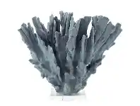 LivingStyles Sculptured Coral Decor offer