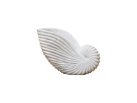 LivingStyles Lehriya Marble Conch Shell Decor, Medium, White offer