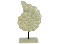 Kira Mango Wood Nautilus Sculpture on Stand