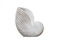 LivingStyles Lehriya Marble Conch Shell Decor, Large, White offer