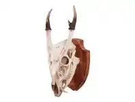 LivingStyles Villarreal Tribal Deer Skull on Plaque Wall Decor offer