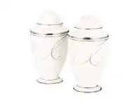 LivingStyles Noritake Platinum Wave Fine China Salt and Pepper Shaker Set offer