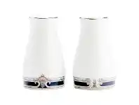 LivingStyles Noritake Springbrook Fine Porcelain Salt & Pepper Shaker Set offer