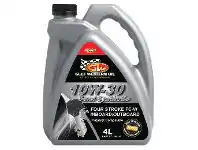 SuperCheap Auto Gulf Western 4 Stroke Outboard Oil - 4L 10W-30 offer
