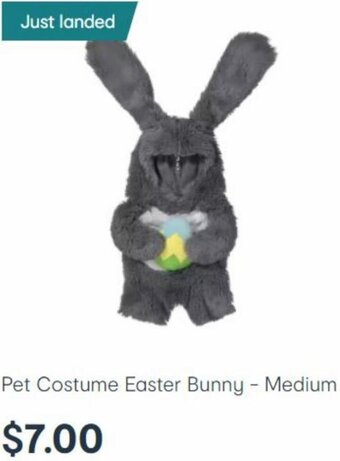Kmart Pet Costume Easter Bunny-Medium offer