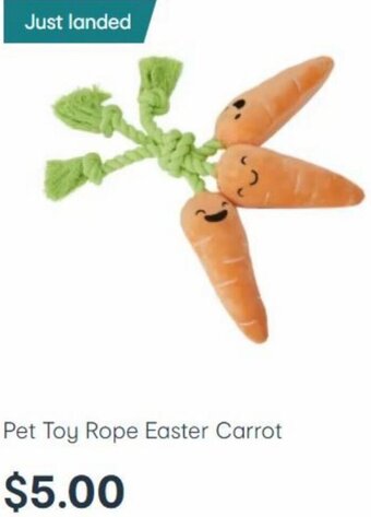 Kmart Pet Toy Rope Easter Carrot offer